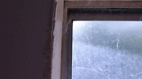 Abandoned Window Light Shining Through Cob Webs Track Down and to Right Stock Footage 114033274