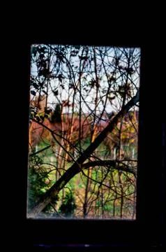 Abandoned window Stock Photos