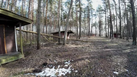 Abandoned-wooden-cabin-in-pine-forest-slow-pan-004 Stock Footage 330762732