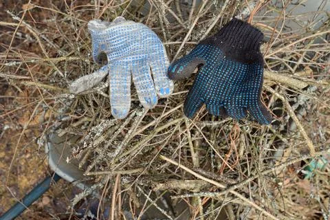 Abandoned working gloves 写真素材