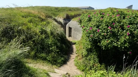 Abandoned world war ii bunker in grassy hills Stock Footage 338328901