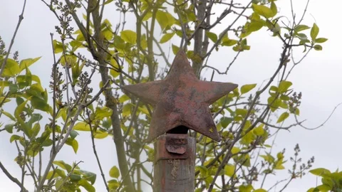 Abandoned world war II monument at the railway redstar Stock Footage 118971487