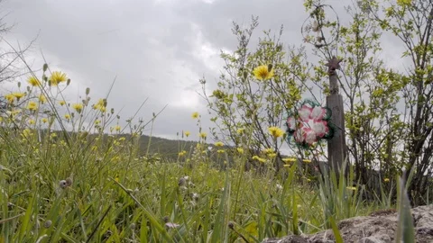 Abandoned world war II monument at the railway wreath Stock Footage 118971497