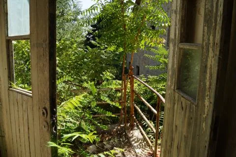 Abandoned Yard Stock Photos