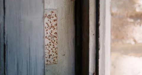 Abandoned/ruined building window frame Stock Footage 203842190