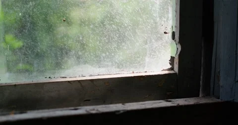 Abandoned/ruined building windows frame Video stock 203842353