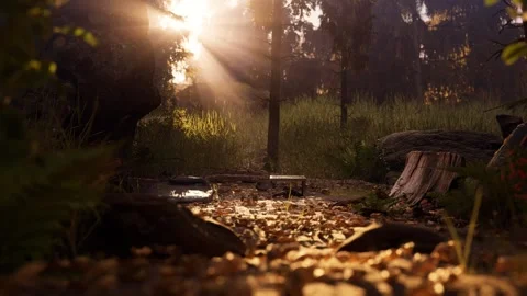 Abandonned Camp UE5 Scene 動画素材 243372998