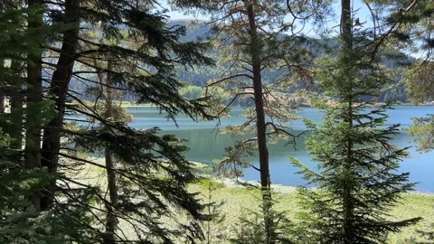 Abant Lake Revealed Through Forest Trees Stock Footage 345519720