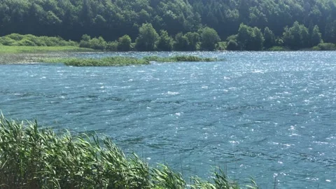 Abant lake wave Stock Footage 165901105