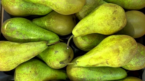 Abate Fetel pears, Tracking shot Stock Footage 284268757