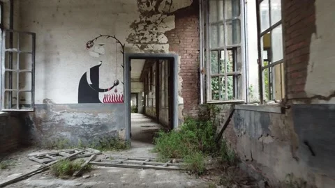 Abbandone building with graffiti Stock Footage 217396080