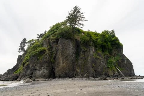 Abbey Island sea stack at Ruby Beach with lush greenery under cloudy skies. Stock Photos