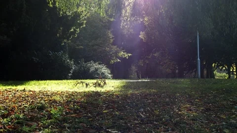 Abbey Park, Leicester Stock Footage 220733028