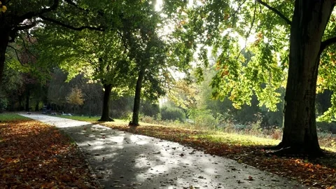 Abbey Park, Leicester Stock Footage 220792011