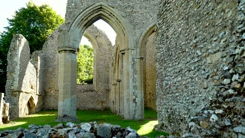 Abbey ruins Stock Footage 205551273