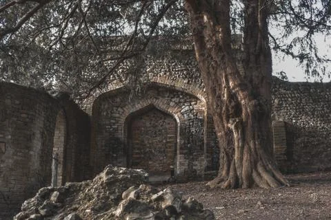 Abbey Ruins Stock Photos