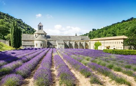 Abbey of senanque Stock Photos