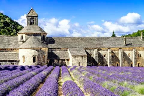 Abbey of senanque Stock Photos