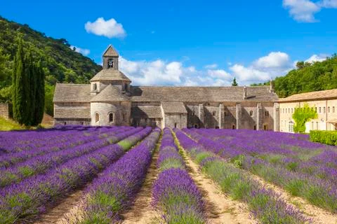 Abbey of senanque Stock Photos