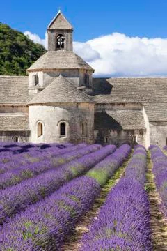 Abbey of Senanque Stock Photos