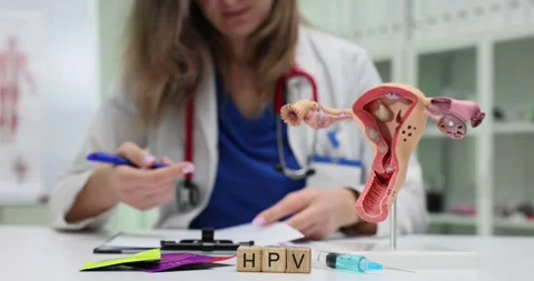 Abbreviation HPV on blocks and uterus model against doctor Stock Footage 297543353