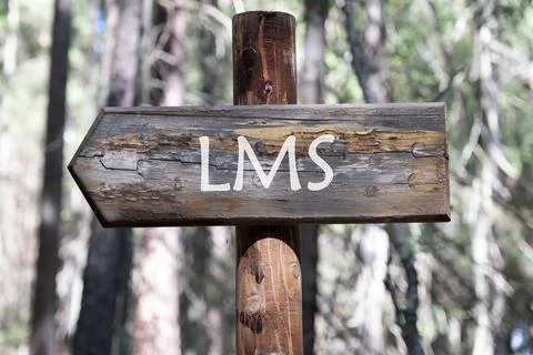 Abbreviation of Learning management system, Word LMS writing on the arrow fro 스톡 사진