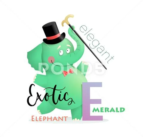 Best Elephant Cap Royalty-Free Images, Stock Photos & Pictures