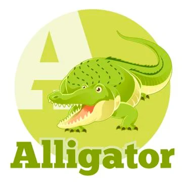 ABC Cartoon Alligator Stock Illustration