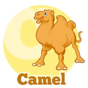 ABC Cartoon Camel Stock Illustration
