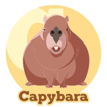 ABC Cartoon Capybara Stock Illustration