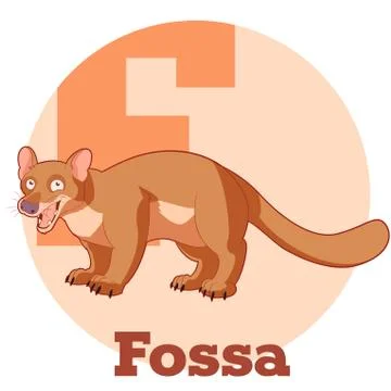 ABC Cartoon Fossa Illustrazione stock