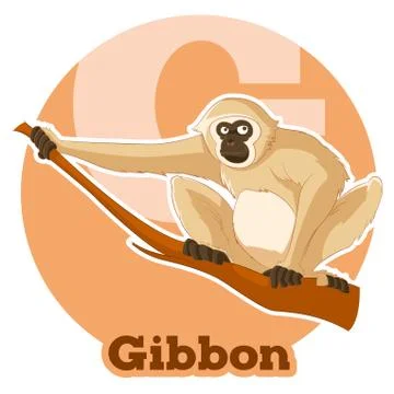 ABC Cartoon Gibbon Stock Illustration