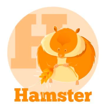 ABC Cartoon Hamster Stock Illustration