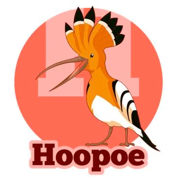ABC Cartoon Hoopoe Illustrazione stock