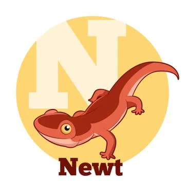 ABC Cartoon Newt Stock Illustration