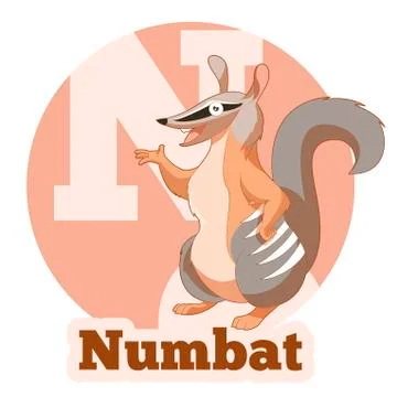 ABC Cartoon Numbat Stock Illustration
