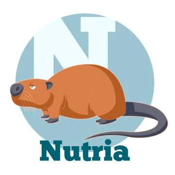 ABC Cartoon Nutria Illustrazione stock