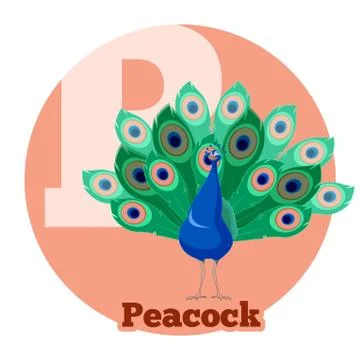 ABC Cartoon Peacock Stock Illustration