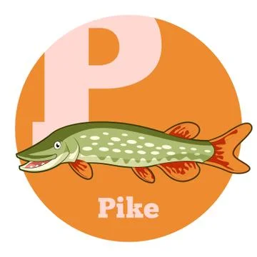 ABC Cartoon Pike Stock Illustration