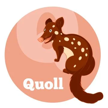 ABC Cartoon Quoll Stock Illustration