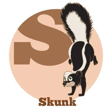 ABC Cartoon Skunk2 Stock Illustration