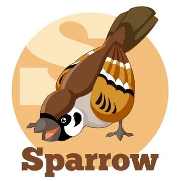 ABC Cartoon Sparrow Stock Illustration