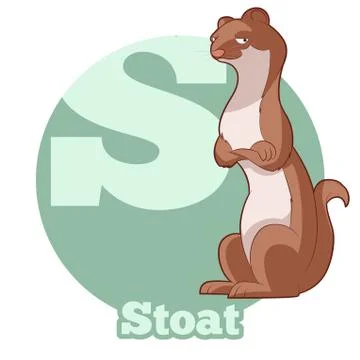 ABC Cartoon Stoat Stock Illustration