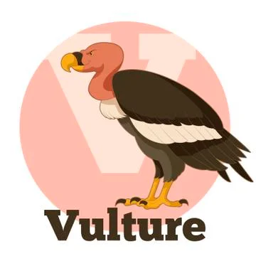 ABC Cartoon Vulture Stock Illustration