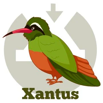 ABC Cartoon Xantus Stock Illustration