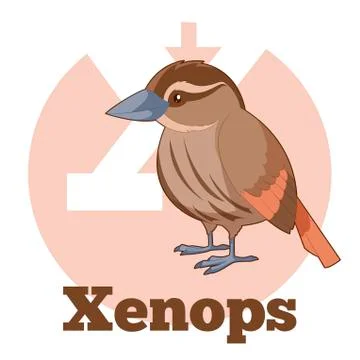 ABC Cartoon Xenops Stock Illustration