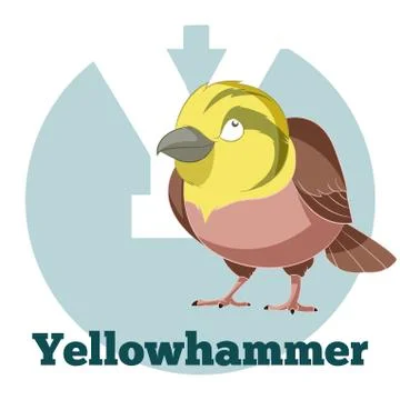 ABC Cartoon Yellowhammer Stock Illustration
