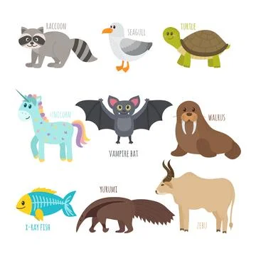 ABC. Cute zoo alphabet in vector. Funny cartoon animals. Raccoon, seagull, .. Stock Illustration