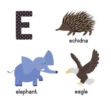 ABC letter E funny kid icons set: eagle, echidna, elephant. Stock Illustration