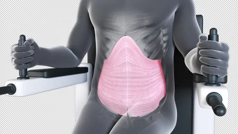 Abdominal Muscles Exercise On The Machine Video stock 220272725